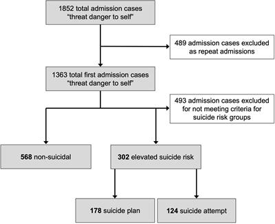 Sex Differences in Determinants of Suicide Risk Preceding Psychiatric Admission: An Electronic Medical Record Study